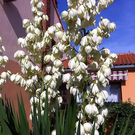 Karabaic Krk Appartement *