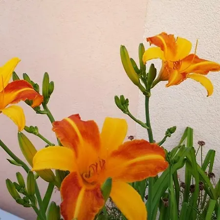 Karabaic Krk Krk Town