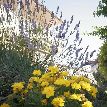 Lägenhet Karabaic Krk