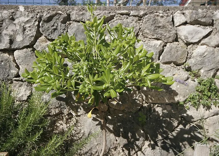 דירה Karabaic Krk